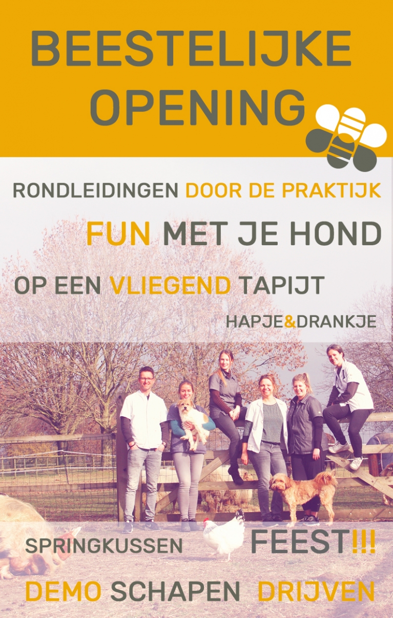 affiche open dag.jpg